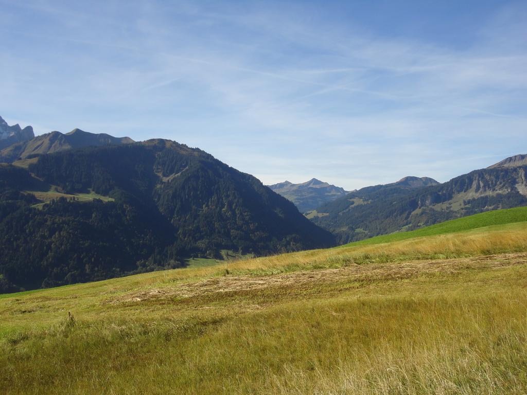 Haus Alpina Hotel Au (Vorarlberg) Екстериор снимка