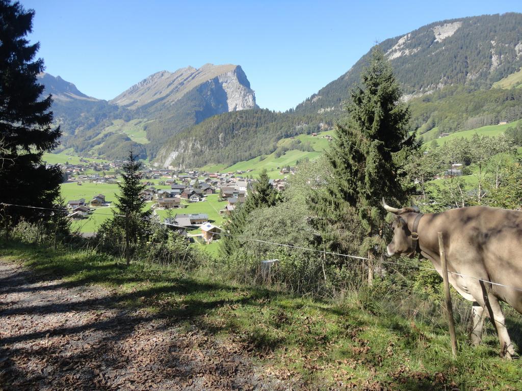 Haus Alpina Hotel Au (Vorarlberg) Екстериор снимка