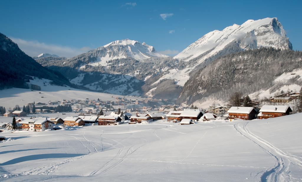 Haus Alpina Hotel Au (Vorarlberg) Екстериор снимка