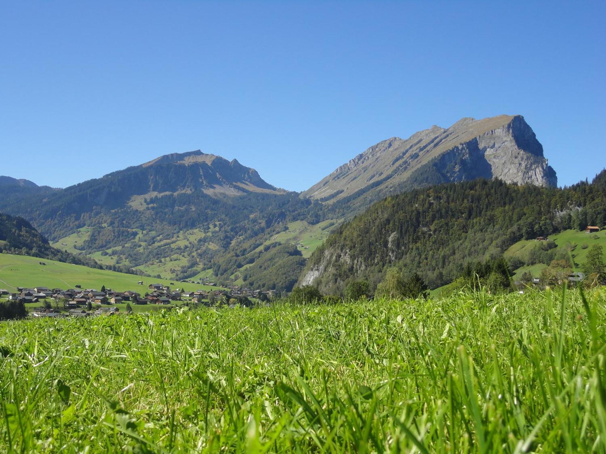 Haus Alpina Hotel Au (Vorarlberg) Екстериор снимка